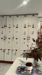 -镁连社·美联社