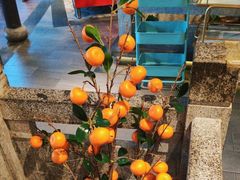 -鹅村长(世纪花园店)