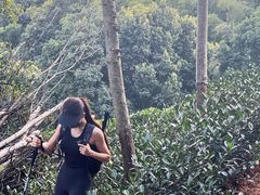 -午潮山国家森林公园