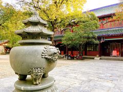 -灵谷景区