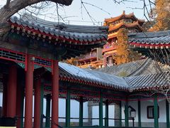 -宫事颐庭·老佛爷贵寿下午茶(颐和园店)