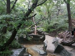 -大青沟风景区