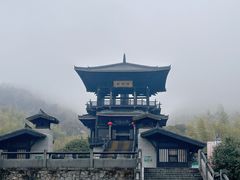 -大唐贡茶院