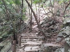 -梧桐山风景名胜区