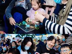 -杨梅红艺术教育(西安高新唐延教学中心)