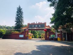 -三水森林公园