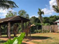 -海南热带野生动植物园
