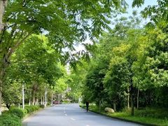 -浙江农林大学(东湖校区)