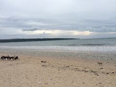 -金巴兰海滩烛光bbq