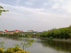 -日照海滨国家森林公园