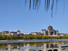 -莲花池公园