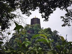 -青城山