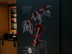 门面-星巴克(杭州大厦C座店)