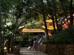 -青龙山国家森林公园