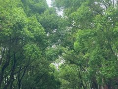 -华东政法大学(松江校区)