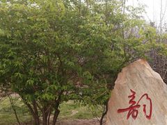 -大港湿地公园