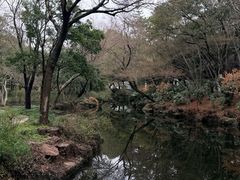 -秋霞圃