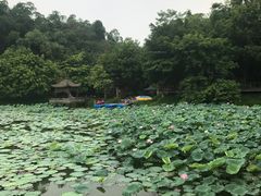 -老木棉·匠园