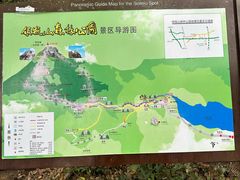 -银瓶嘴森林公园
