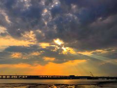 -宝安西湾红树林湿地公园