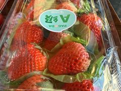 -PAGODA百果园(华发世纪城店)