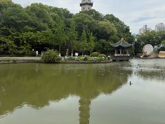 -江心屿景区