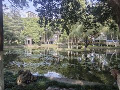 -安徽大学(龙河校区)