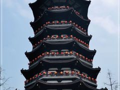 -洋湖国家湿地公园