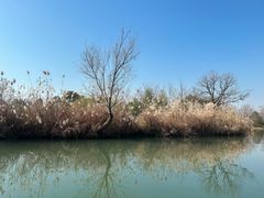 -西溪国家湿地公园