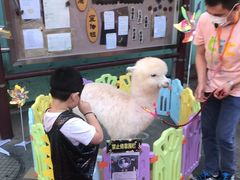 -亲育代幼儿园