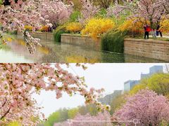 -元大都城垣遗址公园