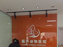-瑞派福兴宠物医院犬猫全科·骨科·中西医结合(河东店)
