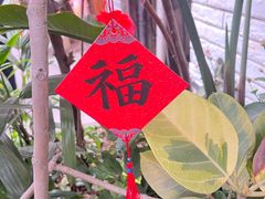 -磁器口古镇