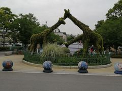 -南京市实验幼儿园