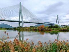 -芒洲湿地公园