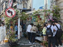 -溪岸路花鸟市场