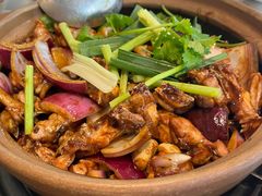 招牌胡须佬鸡煲-胡须佬鸡煲四季火锅店(石厦西村直营店)