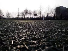 -淄博市张店区实验中学