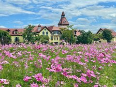 -歌斐颂巧克力小镇