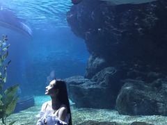 -暹罗海洋世界