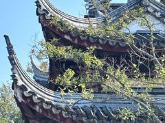 -长广溪湿地公园