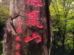 -凤凰山国家森林公园