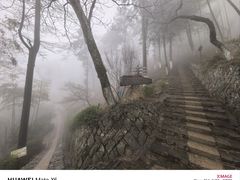 -莫干山风景区