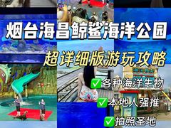 -烟台海昌鲸鲨海洋公园