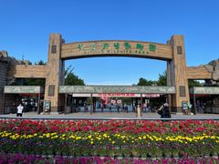 -北京野生动物园