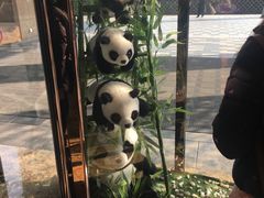 -成都保利公园皇冠假日酒店(熊猫基地店)