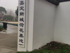 -陈家山荷花公园