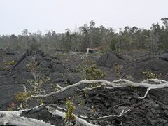 -夏威夷火山国家公园