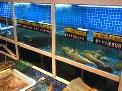 -金龙·打边炉(南京西路店)