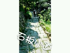 -南北湖湖光山居度假酒店